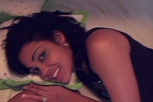 publicagent系列网站